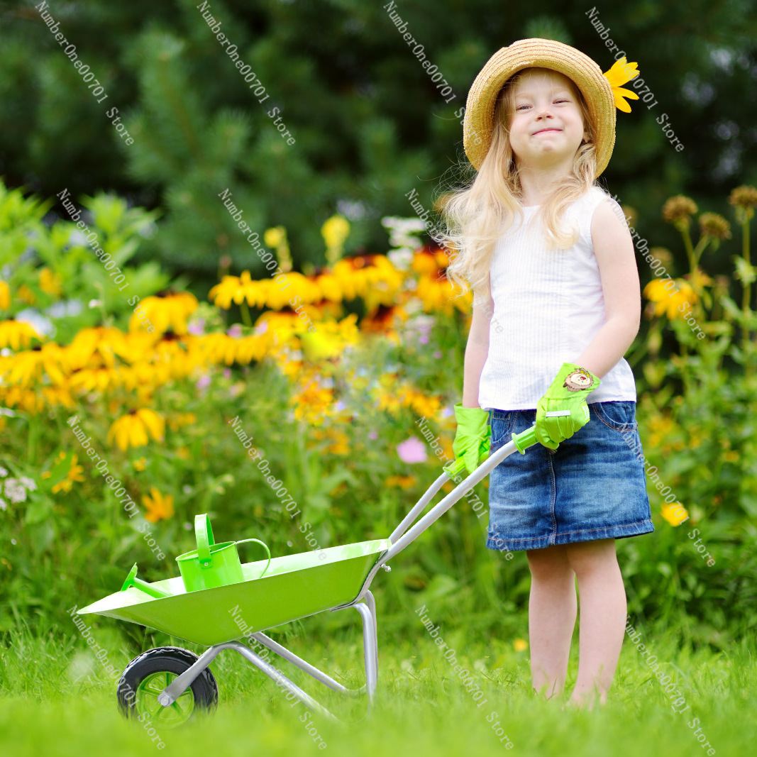 Детская уличная тачка, зеленый – обзор и цена Kids Outdoor Activity Set